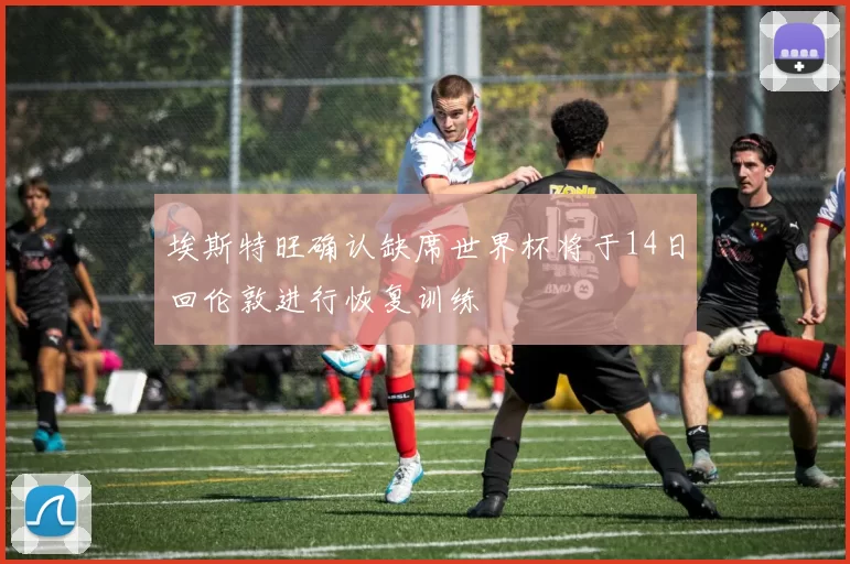 埃斯特旺确认缺席世界杯将于14日回伦敦进行恢复训练